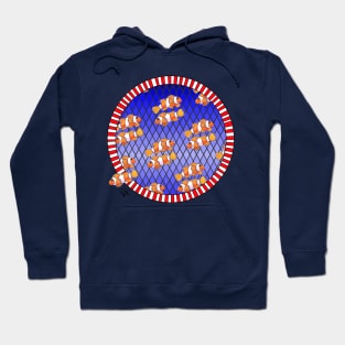 Clownfish Hoodie